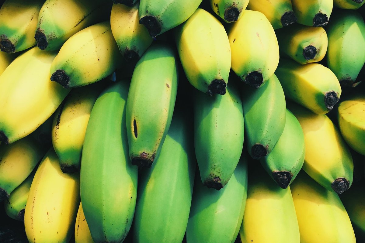 alimentation potassium