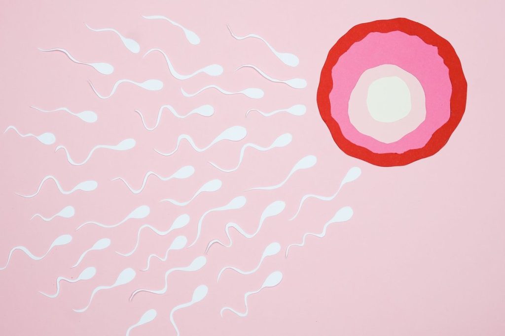 colpotrophine ovule
