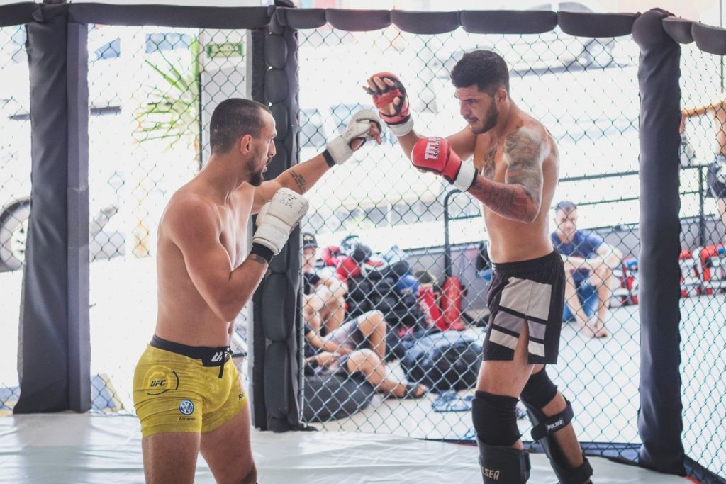 mma champion