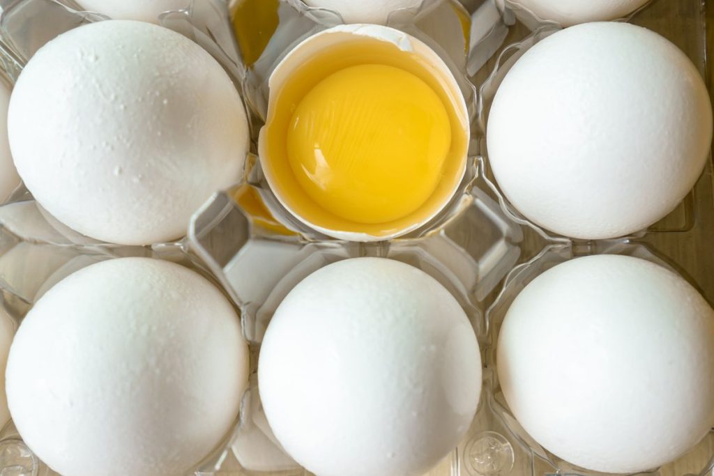 cholesterol ldl