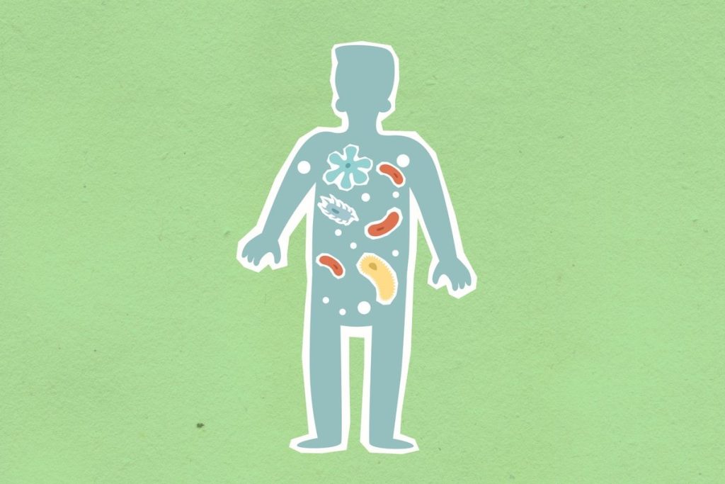 microbiote intestinal