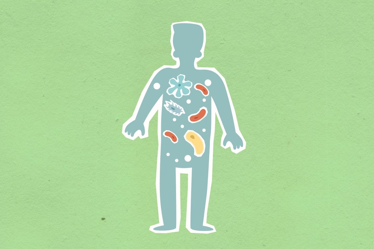 microbiote intestinal