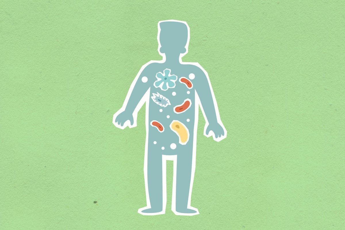 microbiote intestinal